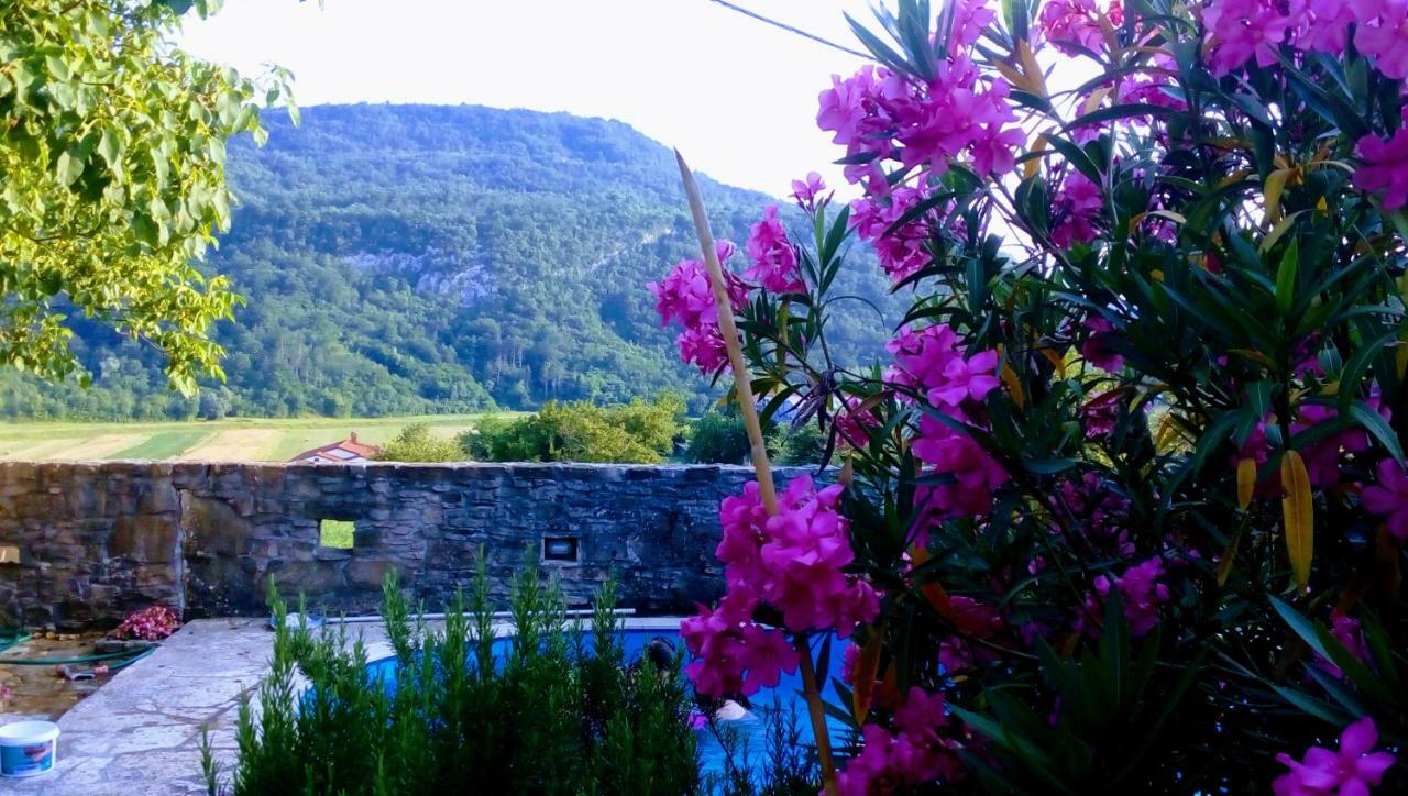 Villa Elena Buzet Bagian luar foto